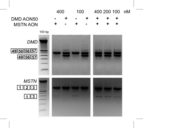 Figure 5