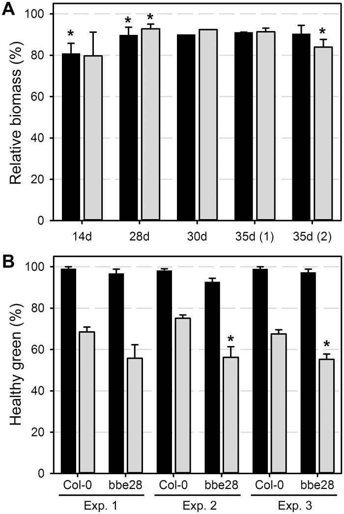 Fig 5