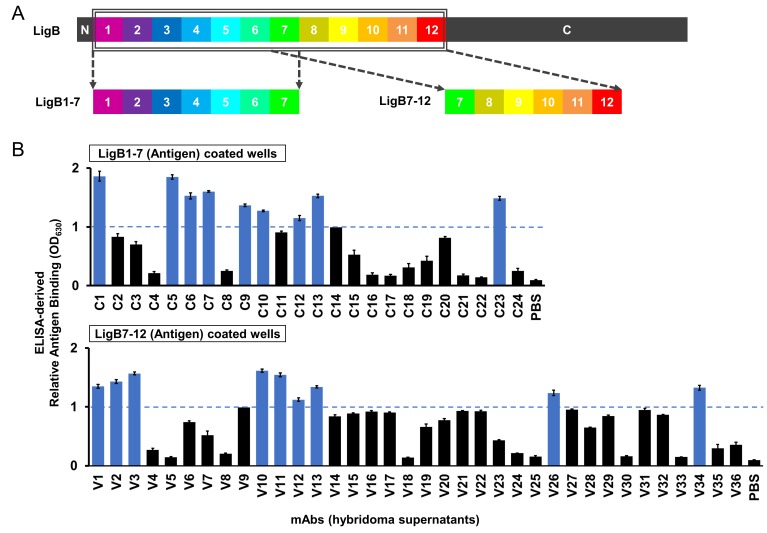 Figure 2.