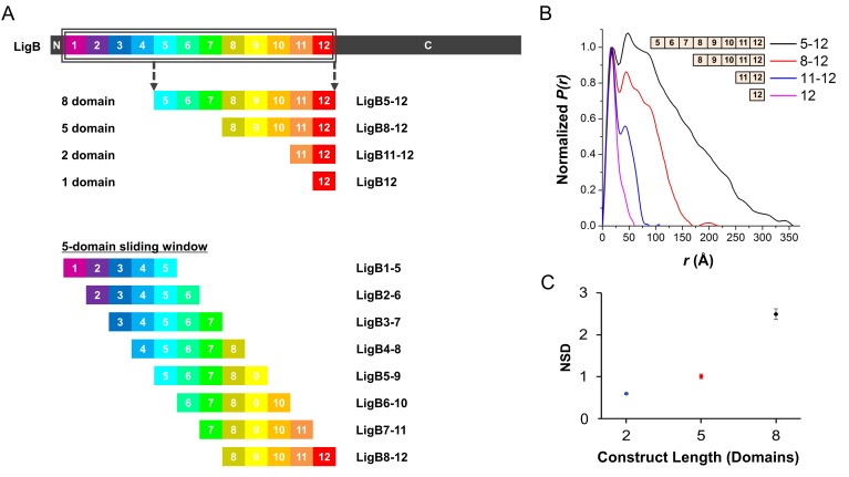 Figure 1—figure supplement 1.