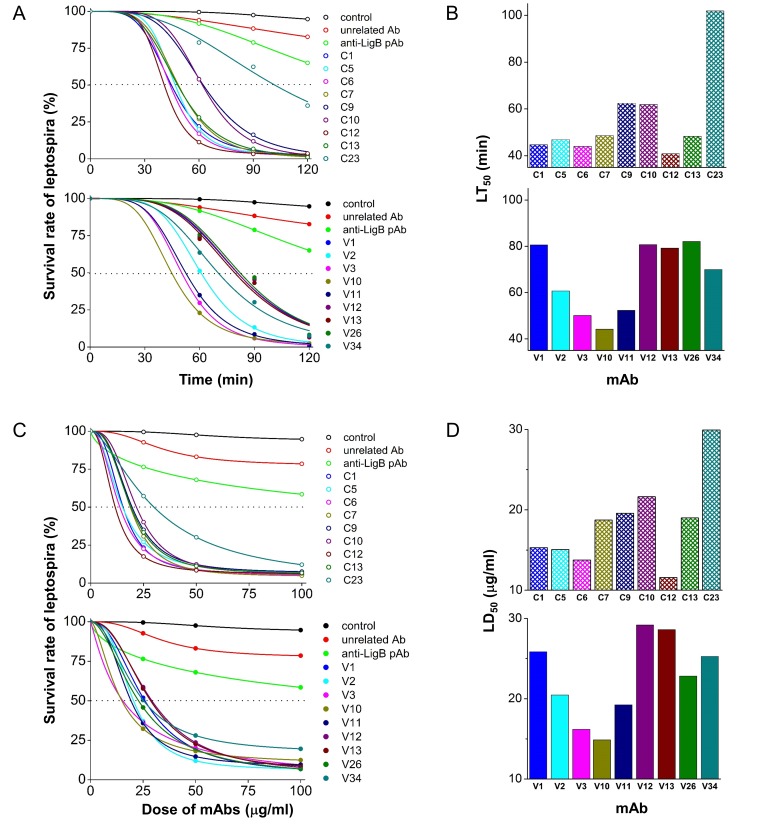 Figure 5—figure supplement 1.