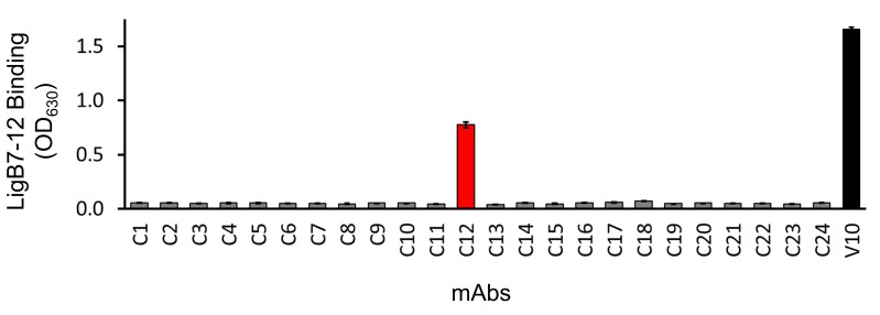 Figure 5—figure supplement 3.