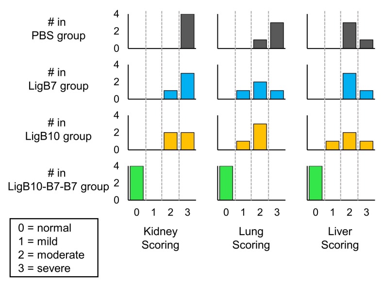 Figure 7—figure supplement 4.