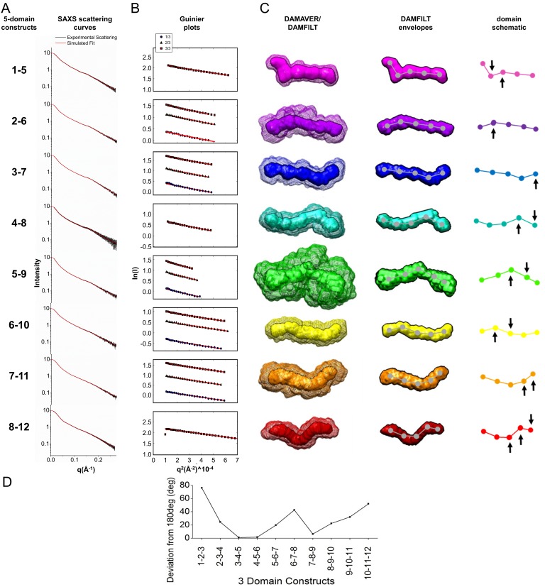 Figure 1—figure supplement 2.