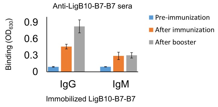 Figure 7—figure supplement 3.