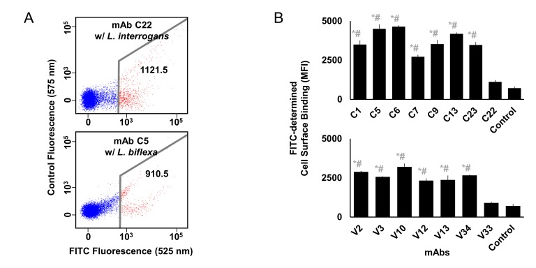 Figure 4—figure supplement 2.