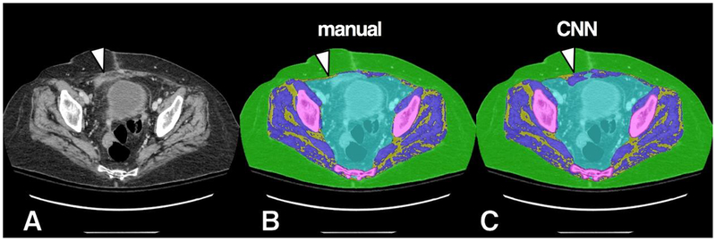 Figure 7.