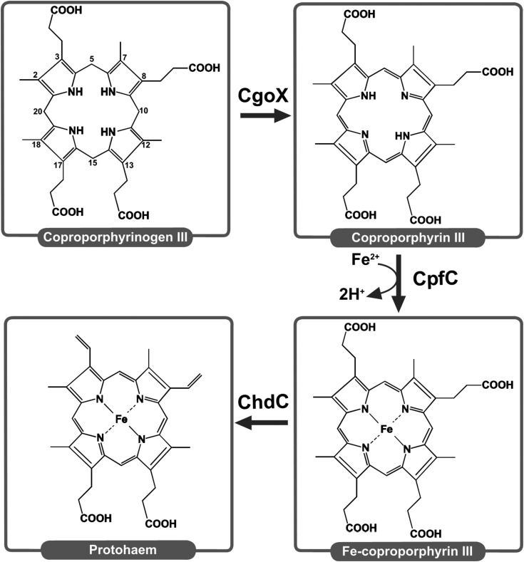 Figure 1.