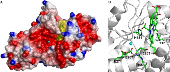 Figure 4.