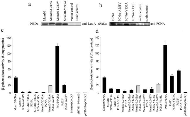 FIG. 7.