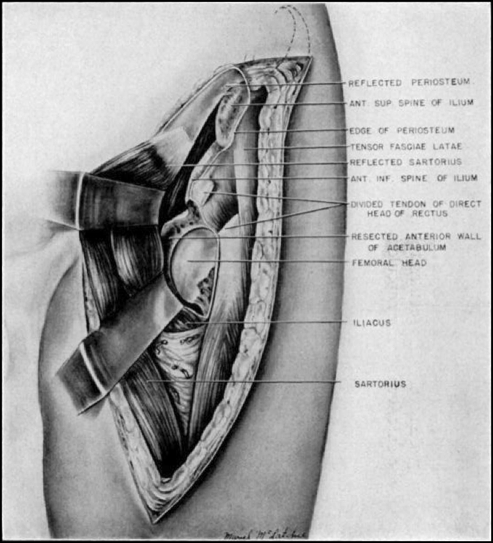 Fig. 6