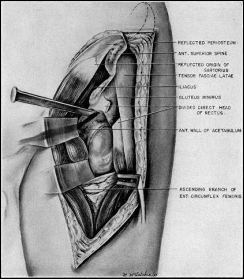 Fig. 5