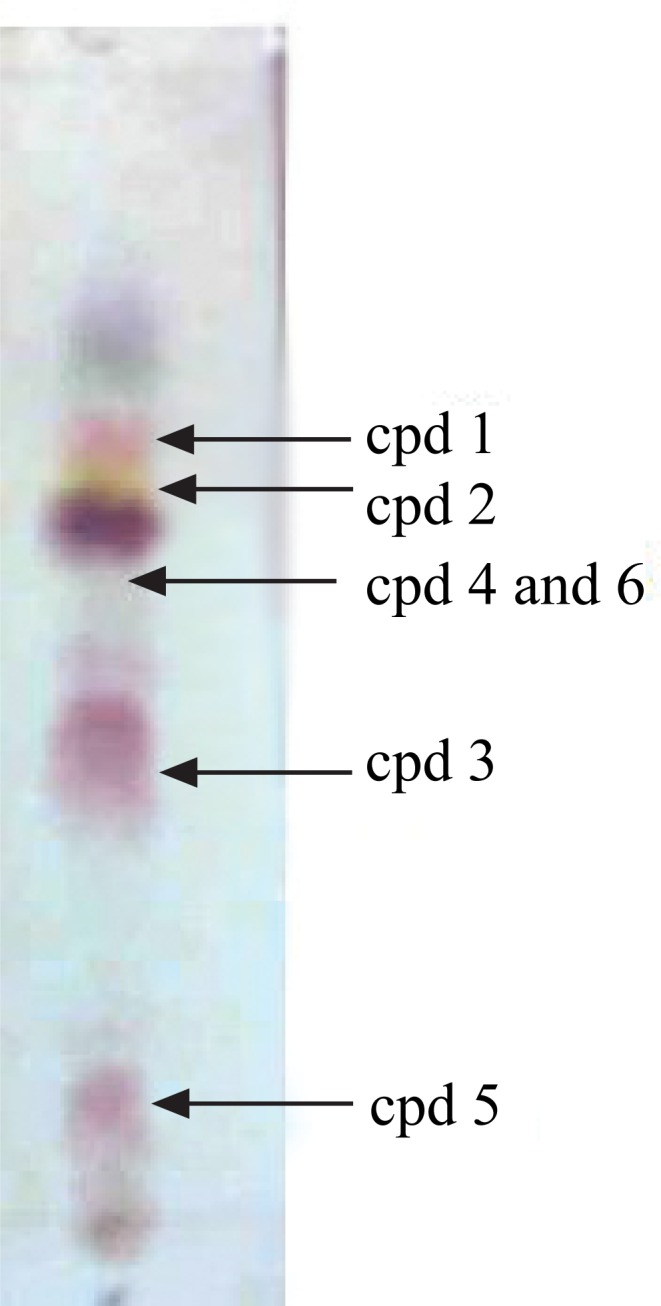 Fig. (1)