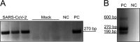 FIG 2