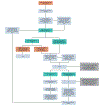 FIG 1.
