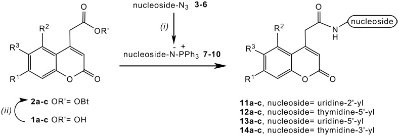 Scheme 1