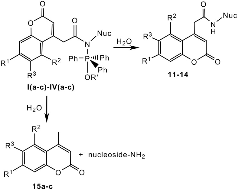 Scheme 2