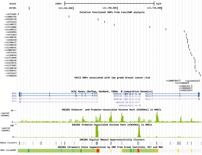 Figure 1.