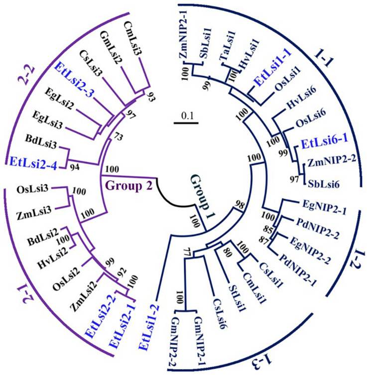 FIGURE 4