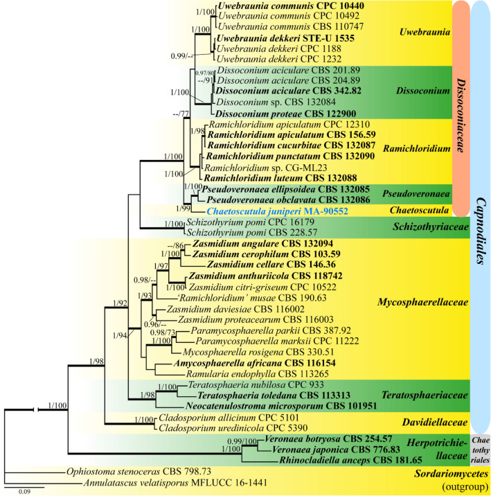 Fig. 4