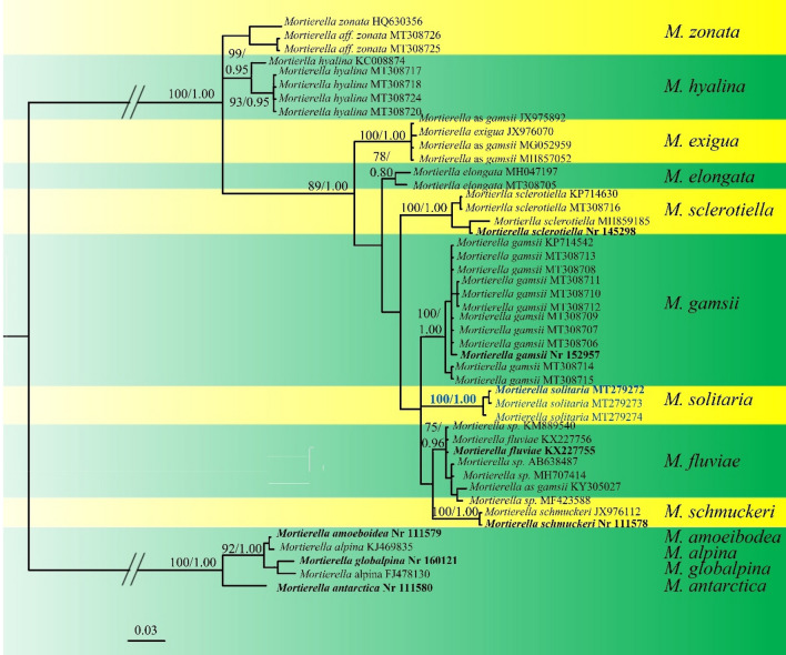 Fig. 233