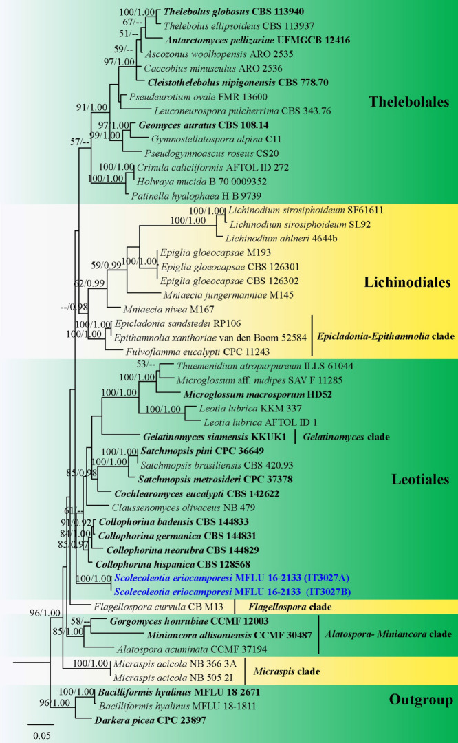 Fig. 116