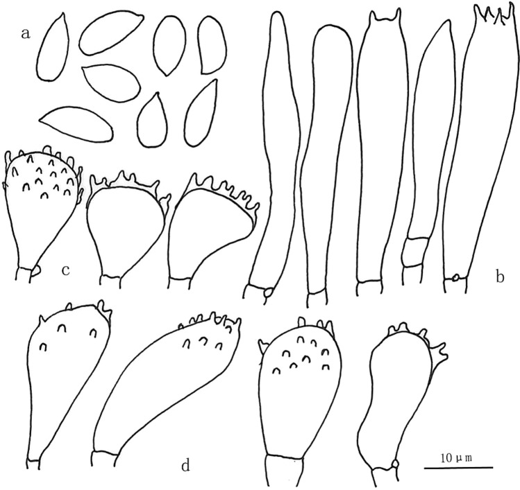 Fig. 189