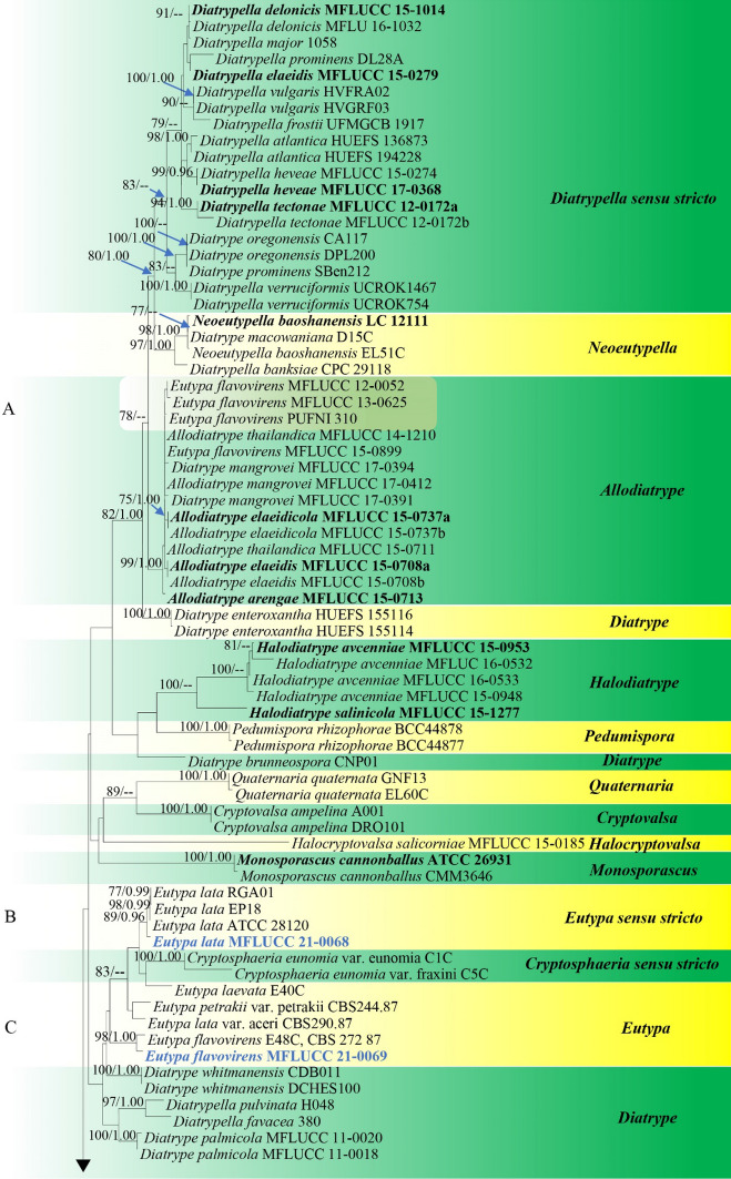Fig. 153