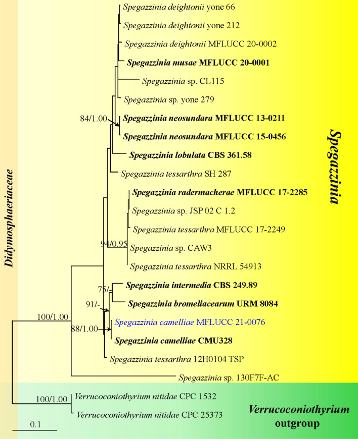 Fig. 29