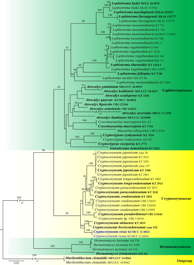 Fig. 20