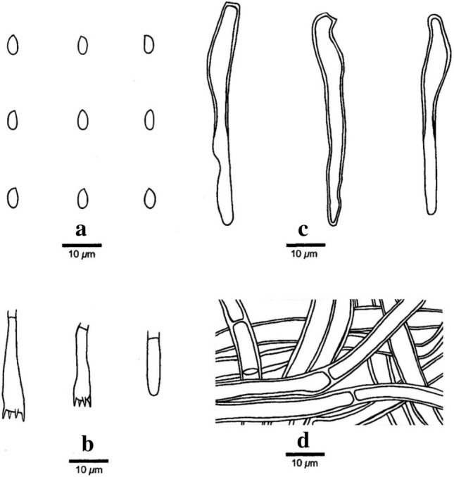 Fig. 220