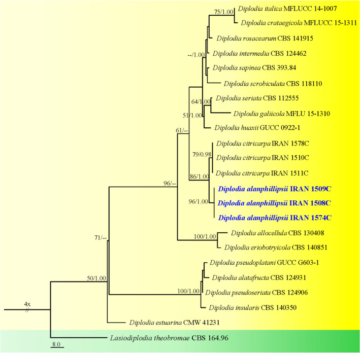 Fig. 2