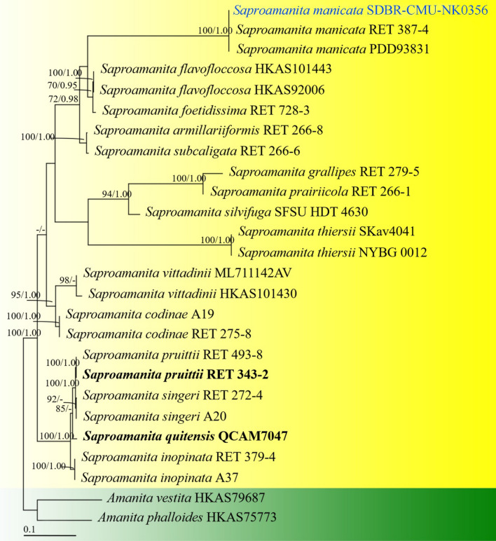 Fig. 175