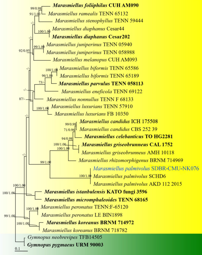 Fig. 199