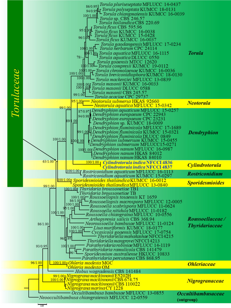 Fig. 76
