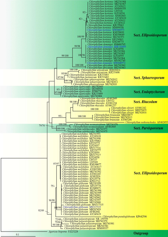 Fig. 165