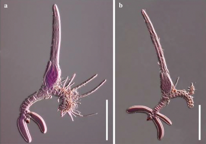 Fig. 108