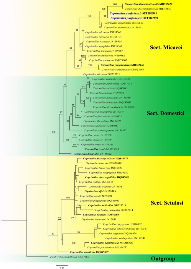 Fig. 201