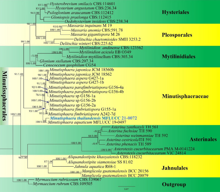 Fig. 12