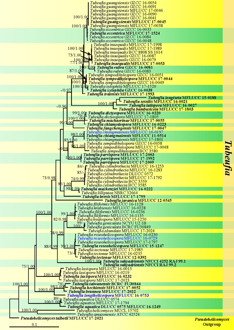Fig. 97