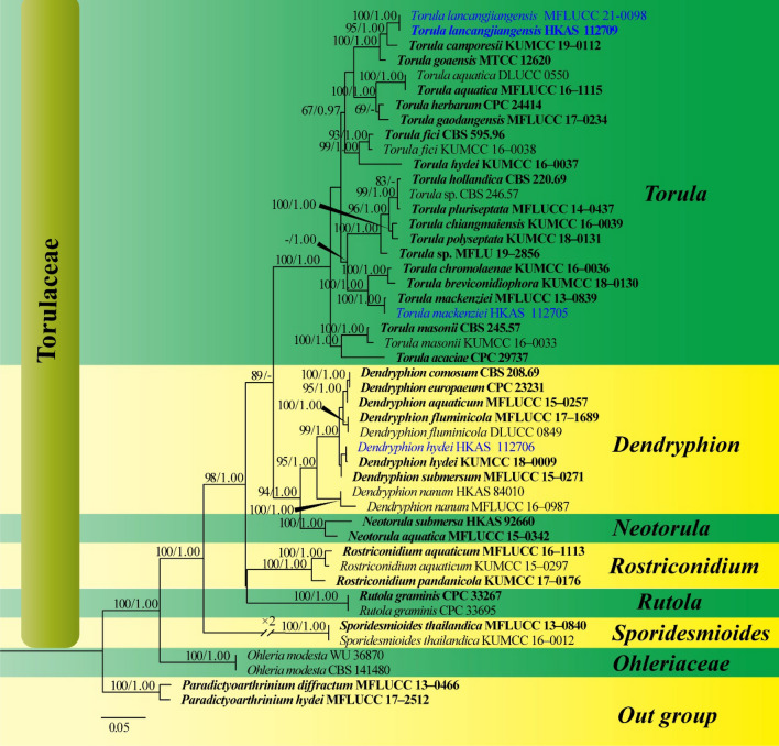 Fig. 80