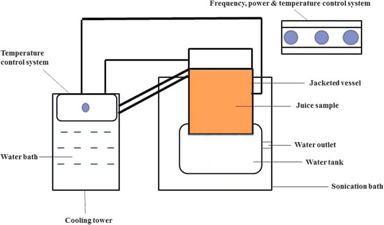 Fig. 5