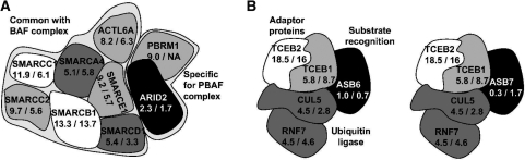 Figure 5.