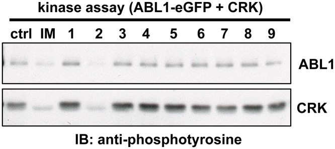 Fig 5