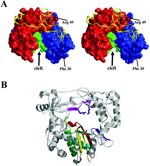 FIG. 3.