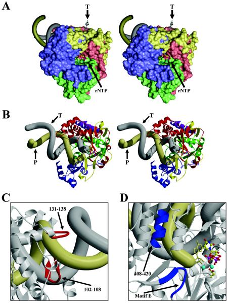 FIG. 5.