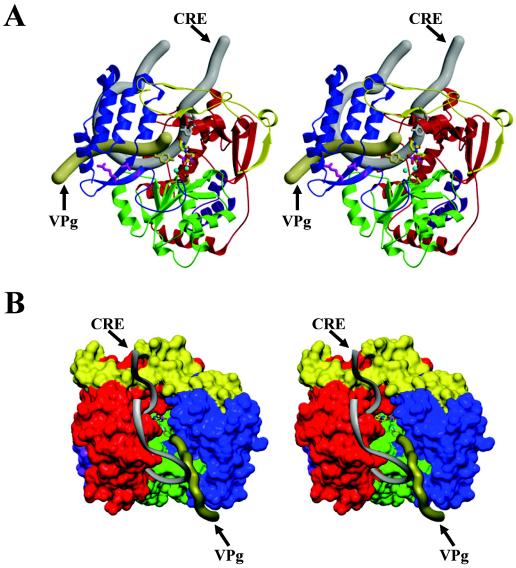 FIG. 6.