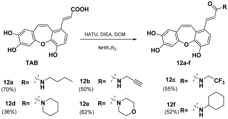Scheme 4