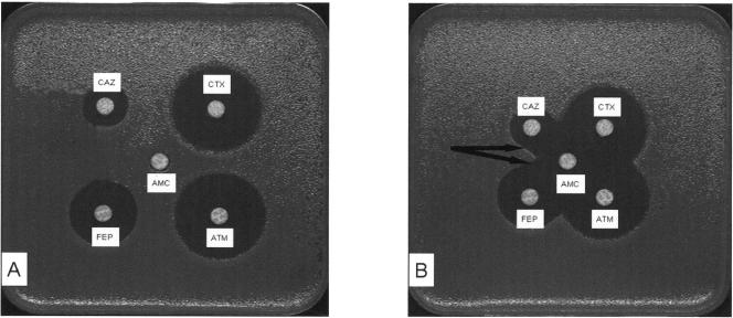 FIG. 1.