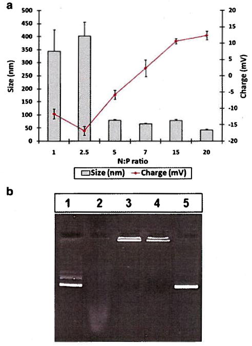 Fig. 5